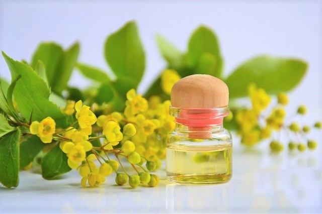 Massage aux huiles vierges